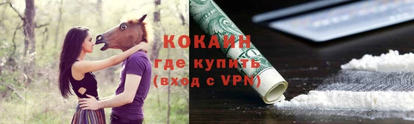 apvp Белокуриха