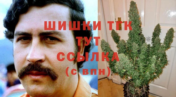 амф Белоозёрский