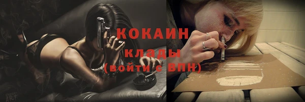apvp Белокуриха