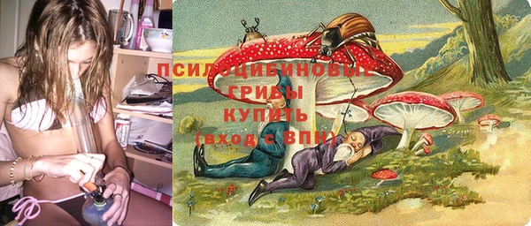 амф Белоозёрский