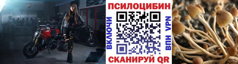 Галлюциногенные грибы ЛСД это клад Пестово
